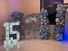 Cargar imagen en el visor de la galería, Paquete: BackDrop XV años