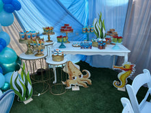 Cargar imagen en el visor de la galería, Paquete - Baby Acuatico