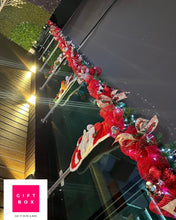 Cargar imagen en el visor de la galería, Guirnalda (1 m)