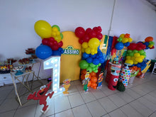 Cargar imagen en el visor de la galería, Backdrop Completo: Plaza Sesamo