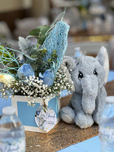 Cargar imagen en el visor de la galería, Paquete Dumbo Deluxe