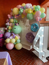 Cargar imagen en el visor de la galería, Unocornio - Decoración