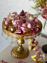 Cargar imagen en el visor de la galería, Paquete Teddy Delux - Girls