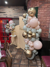 Cargar imagen en el visor de la galería, BackDrop Campero