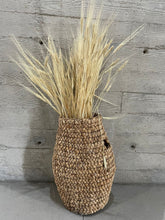 Cargar imagen en el visor de la galería, Accesorios en Renta