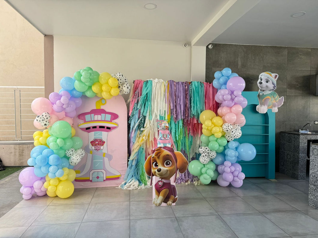 Backdrop Paw Patrol - Skye