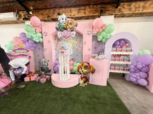 Cargar imagen en el visor de la galería, Backdrop Sky - Paw Patrol
