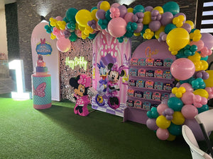 BackDrop Minnie Mouse